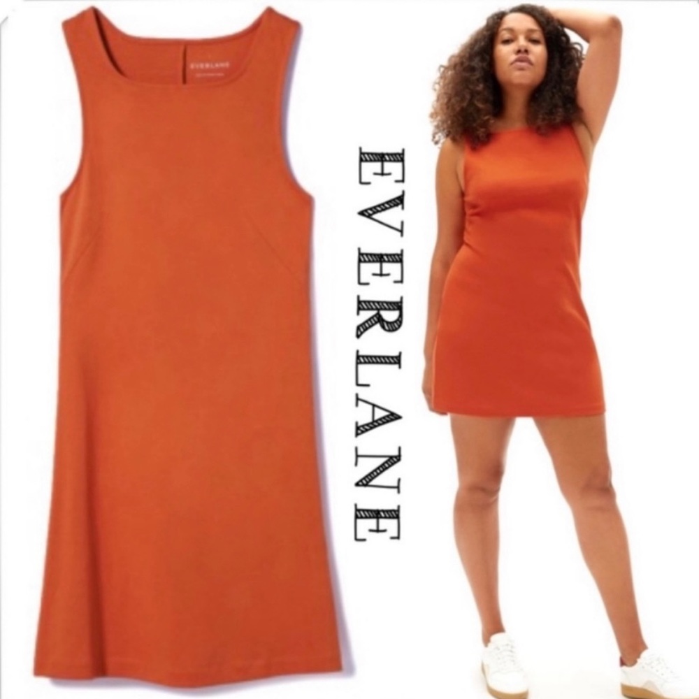 Everlane tshirt dress